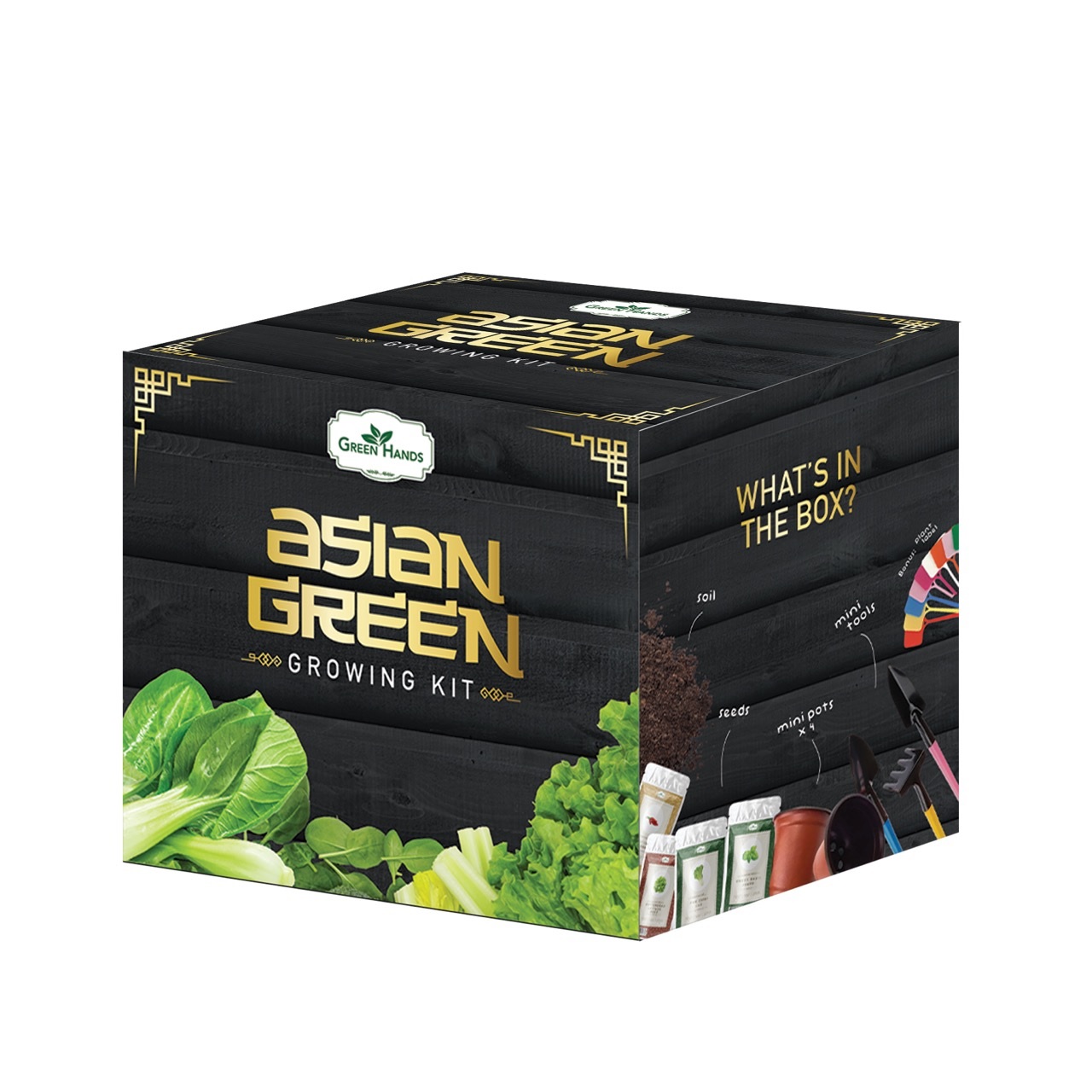 Green Hands Asian Green Growing Kit